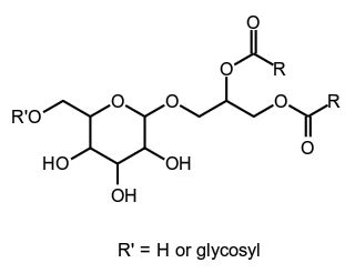 Glycolipid Chemical Structure