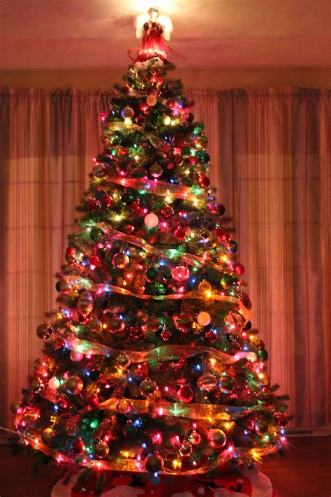 Traditional Christmas Tree | Christmas tree with coloured lights ...