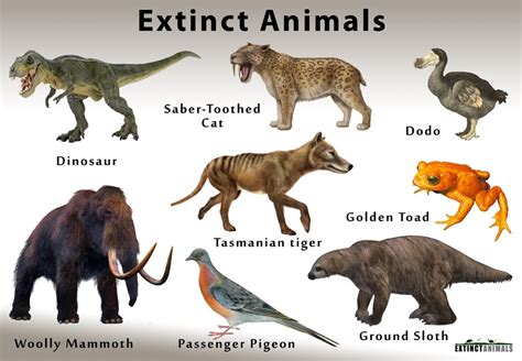 ExtinctAnimals.org | Lists of Extinct Species With Facts and Pictures