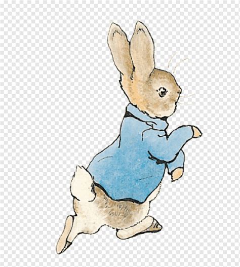 Peter Rabbit Illustrations Public Domain