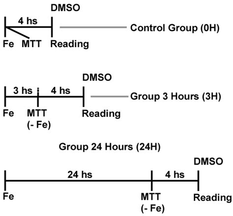 Protocol of MTT assay | Download Scientific Diagram