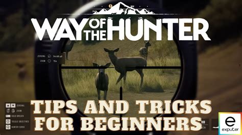 Way Of The Hunter For Beginners [Our Tips And Tricks] - eXputer.com