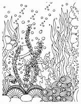 Bahamas Coloring Pages For Kids & Adults  Free Printables sketch template