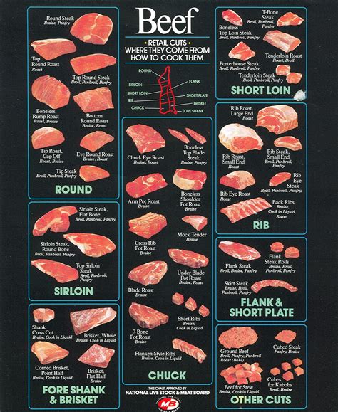 Cuts of Beef Diagrams to Print | 101 Diagrams