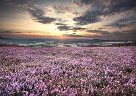 Heather Fields - PhotoManic Photography : r/LandscapePhotography