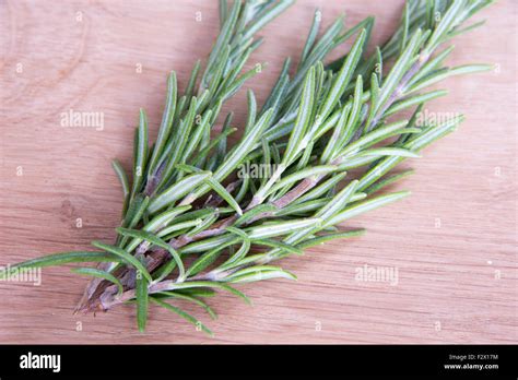 Rosemary Herb Stock Photo - Alamy