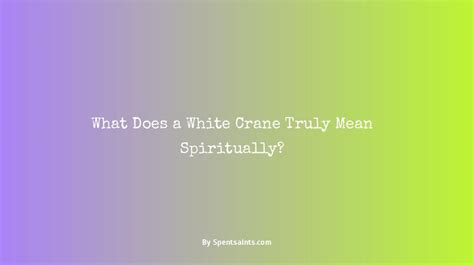 What Does a White Crane Truly Mean Spiritually? - Spent Saints