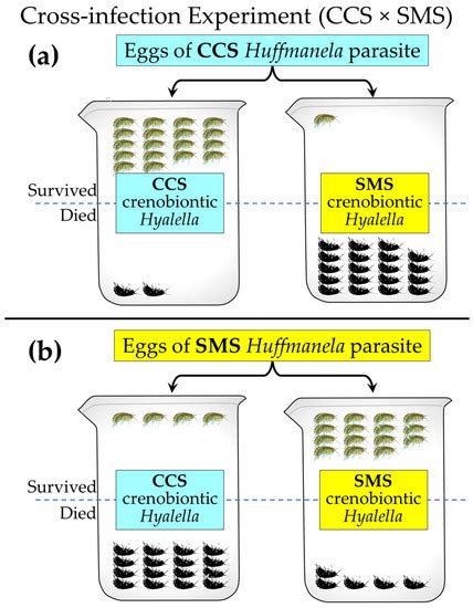 Hydrobiology | An Open Access Journal from MDPI