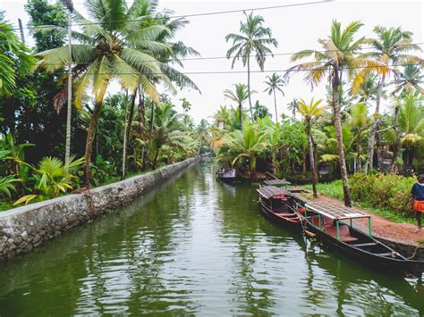 5 Reasons to Explore the Kerala Backwaters by Canoe! - Wee Gypsy Girl