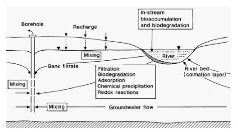 Schematic diagram of riverbank filtration | Download Scientific Diagram