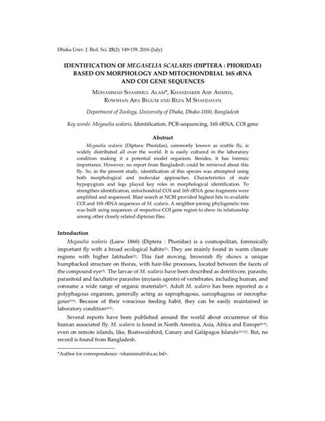 IDENTIFICATION of MEGASELIA SCALARIS (DIPTERA : PHORIDAE) BASED on MORPHOLOGY and MITOCHONDRIAL ...