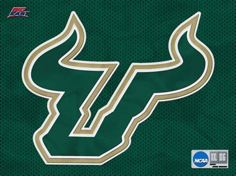 🔥 [50+] USF Bulls Wallpapers | WallpaperSafari