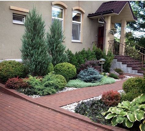 Pin by Kate on Garden | Small front yard landscaping, Evergreen garden ...