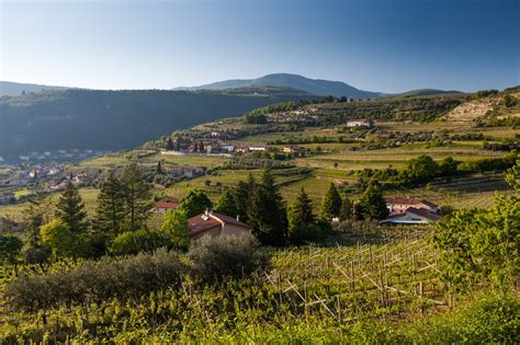 Valpolicella: 10 Essential facts about the region and its wine