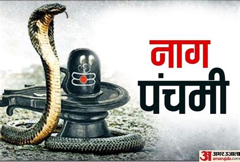 Nag Panchami 2020:कैसे हुई नागपंचमी की शुरुआत, जानिए इससे जुड़ी खास ...