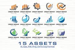 Professional Credit Repair Logo Set