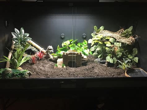 Corn snake enclosure, how does it look? : r/snakes