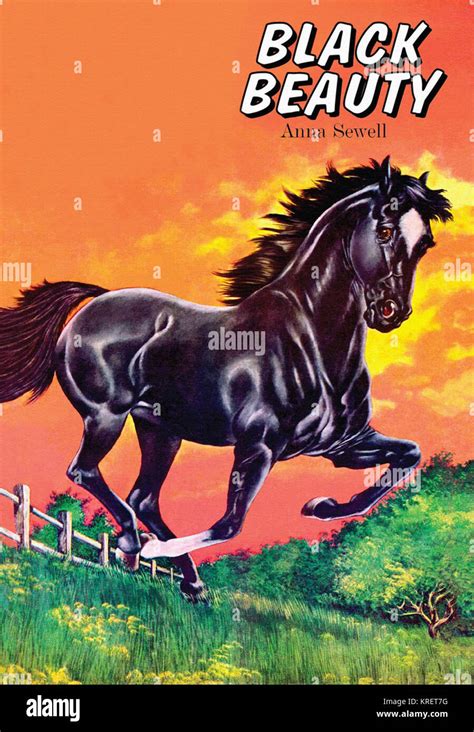 Black beauty book cover hi-res stock photography and images - Alamy