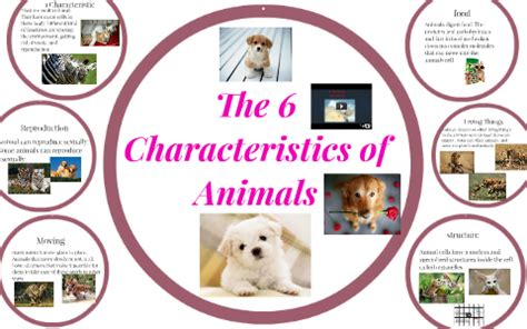 The 6 Characteristics of Animals by Alyssa Dirling on Prezi