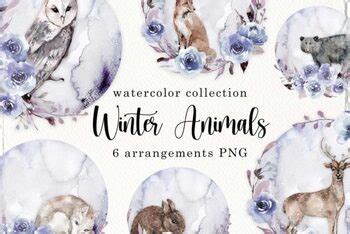 Watercolor Winter Animals Clipart by Nice Clipart | TPT