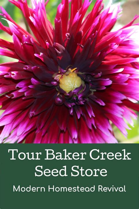 Tour Baker Creek Seeds with us and see why this heirloom seed company is special. From the acres ...