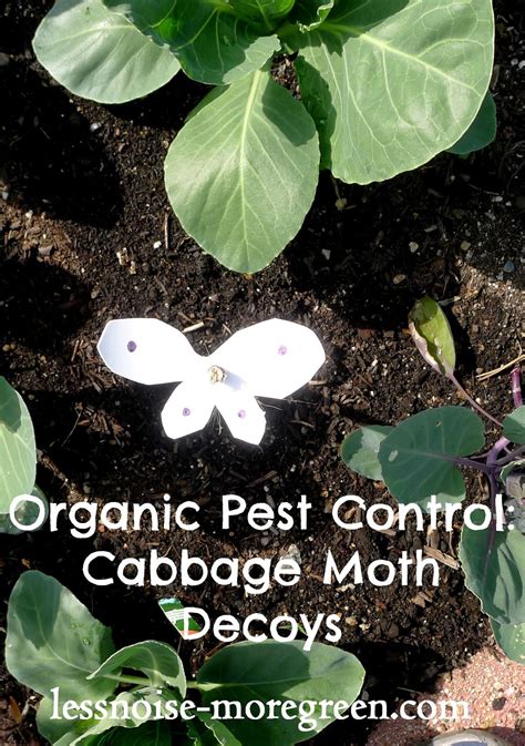 Less Noise, More Green: Organic Pest Control:Cabbage Moth Decoys