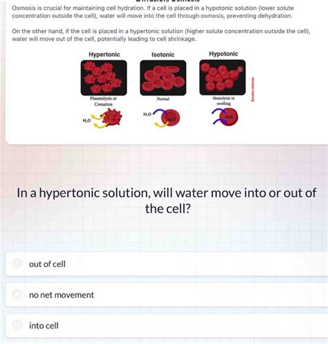 Solved: Osmosis is crucial for maintaining cell hydration. If a cell is ...