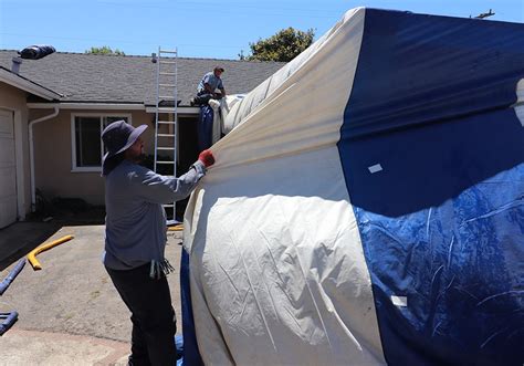 Termite Fumigation San Luis Obispo, Tent Fumigation, Termite Fumigation Costs