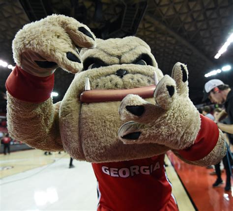 National Mascot Day: Ranking the SEC mascots from worst to best