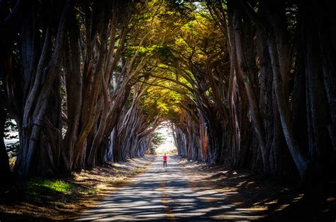 Finding a Unique Perspective: Landscape Photography by Taylor Gray | Nikon