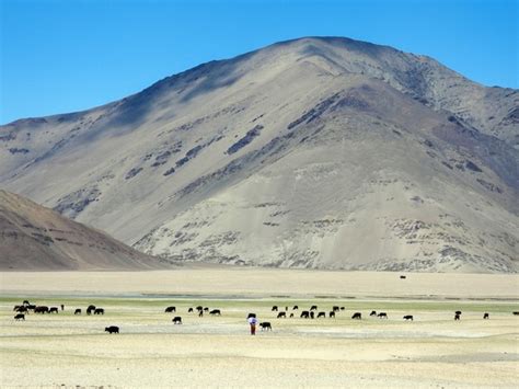 Cold desert Ladakh experienced active flooding during post-glacial warming, says Centre