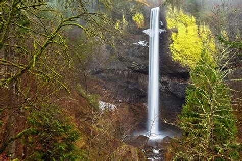 Latourell Falls in Portland 2024 - Rove.me