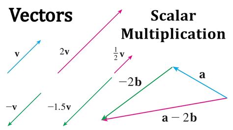 Vector And Scalar Multiplication at Nicholas Petterson blog