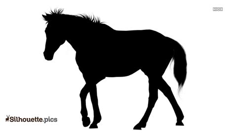 Vector Black Silhouette Walking Horse Isolated Stock Vector - Clip Art ...