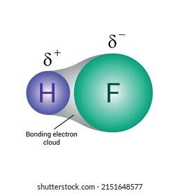 Polar Covalent Bond Hydrogen Fluoride Hf Stock Vector (Royalty Free) 2151648577 | Shutterstock