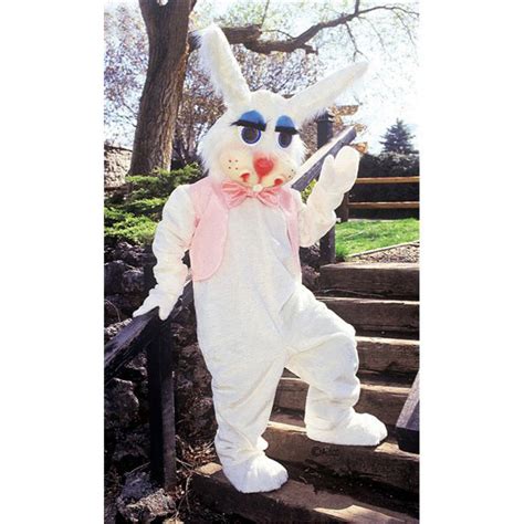 Peter Rabbit Costume Mascot Costume 100