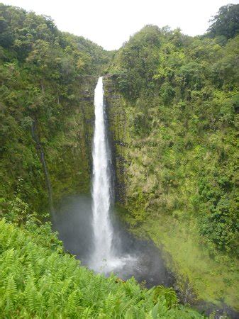 Hawaii Volcano Tours (Pahoa) - 2020 All You Need to Know BEFORE You Go (with Photos) - Tripadvisor