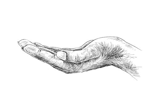 Free Vector | Empty open hand gesture isolated on white background Hand Drawn Sketch Vector ...