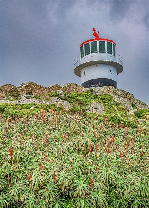 Cape Point Lighthouse, South Africa Photograph by Marcy Wielfaert - Fine Art America