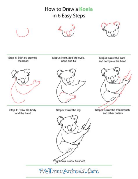 How To Draw A Koala