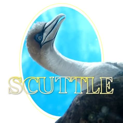 The Little Mermaid on Twitter: "Hey Scuttle, your feathers ALWAYS look ...