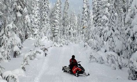 Yellowstone Snowmobiling: Snowmobile Rentals & Tours - AllTrips