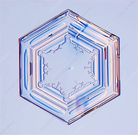 Hexagonal snowflake - Stock Image - E127/0386 - Science Photo Library