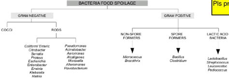 Different bacteria species that can cause food spoilage. | Download Scientific Diagram