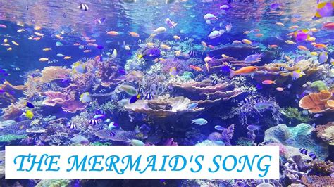 THE MERMAID'S SONG (F. J. Haydn) Piano Accompaniment - YouTube