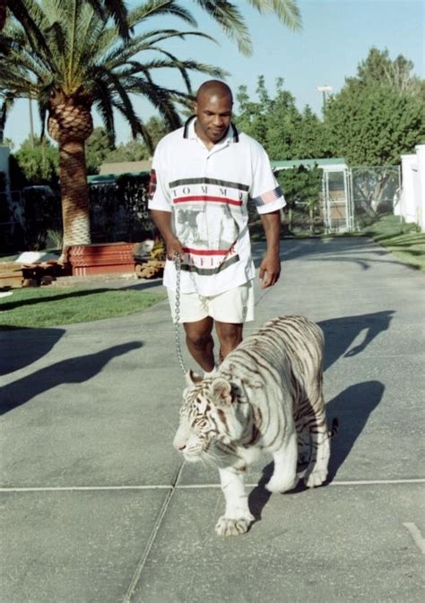 Mike Tyson walking his tiger, 90's : r/OldSchoolCool