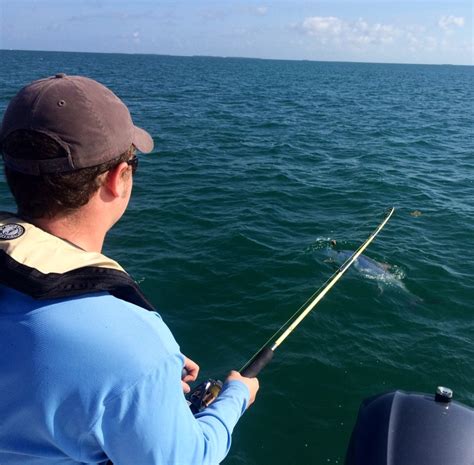 Jumping Tarpon - Greg Poland