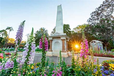 Toowoomba Carnival Of Flowers Is In Full Bloom For Floral Friday | General