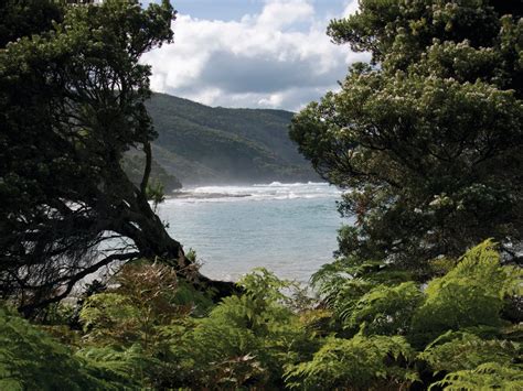 Great Otway National Park, Attraction, Great Ocean Road, Victoria, Australia