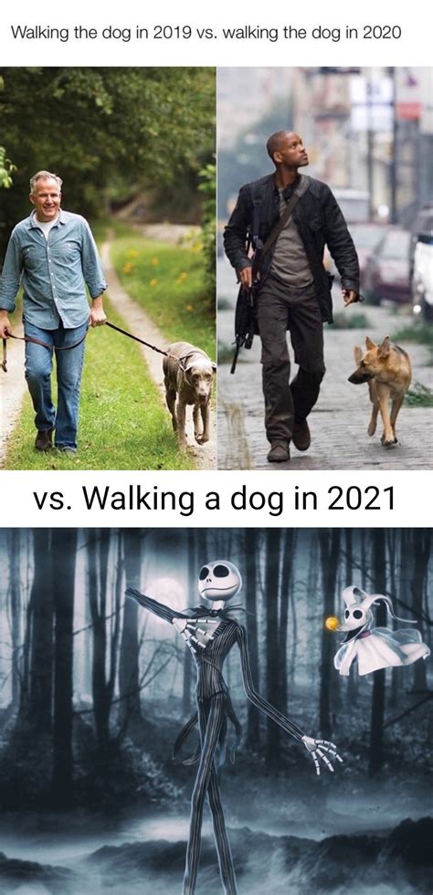 Walking the dog 3 different years : r/memes